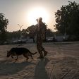 A Nigerian soldier with his sniffer dog patrols on January 18, 2017
