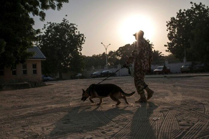 A Nigerian soldier with his sniffer dog patrols on January 18, 2017