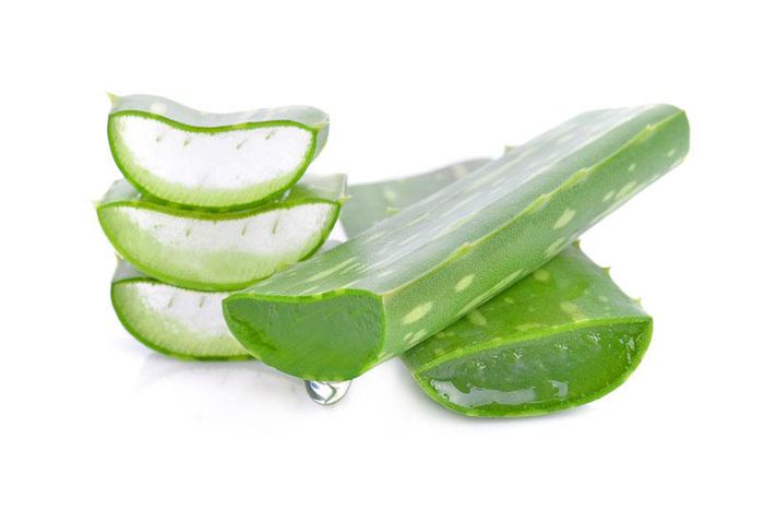 Aloe Vera (Courtesy)