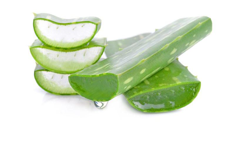 Aloe Vera (Courtesy)