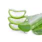 Aloe Vera (Courtesy)