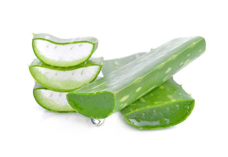 Aloe Vera (Courtesy)