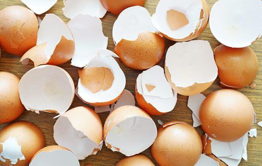 Eggshells(sciencing)