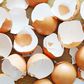 Eggshells(sciencing)