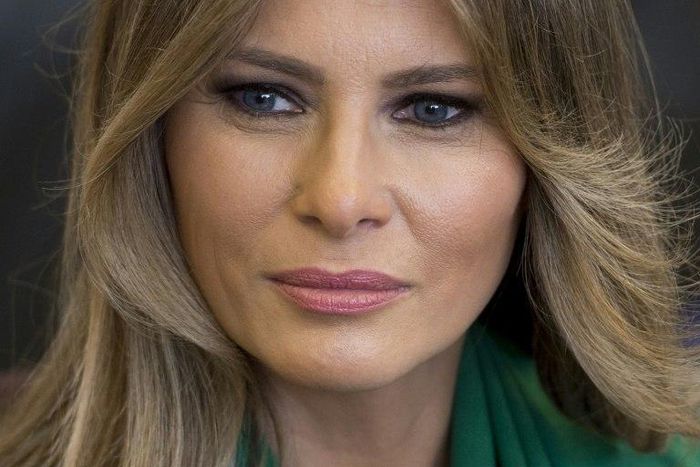 A lawyer for Melania Trump said the claims against her struck at her 'personal integrity and dignity'