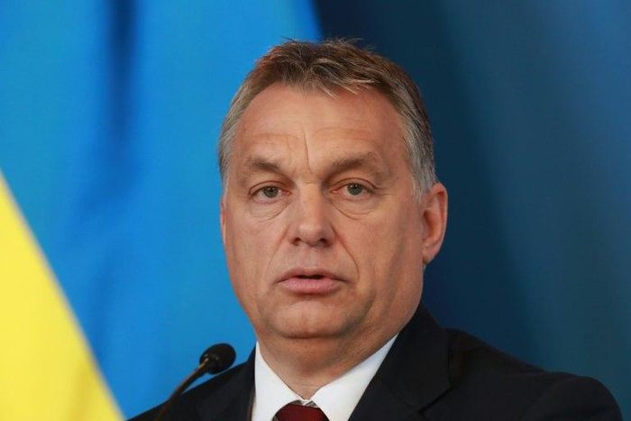 Hungarian Prime Minister Viktor Orban was one of the few national leaders to openly support Trump's White House campaign