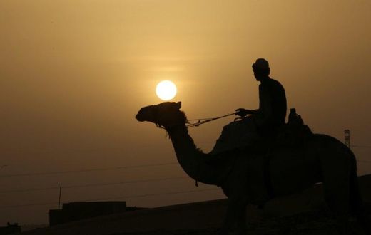Fierce fighting between the Hamar and Kababish tribes appeared to have been sparked by a theft of camels, a Hamar tribal source said
