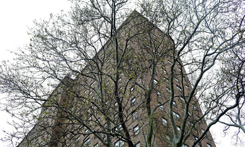 Bloody Ax Recovered at Homicide Scene in Brooklyn, Police Say