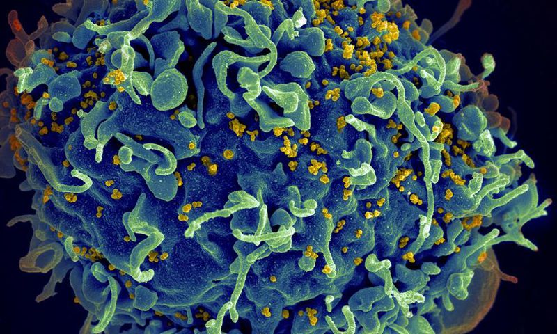 As word of a second HIV cure spreads, patients wonder: What now?