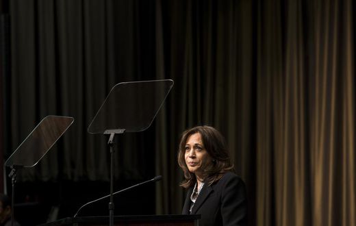 In New York, 2020 Democrats Offer a Range of Views on Racial Justice