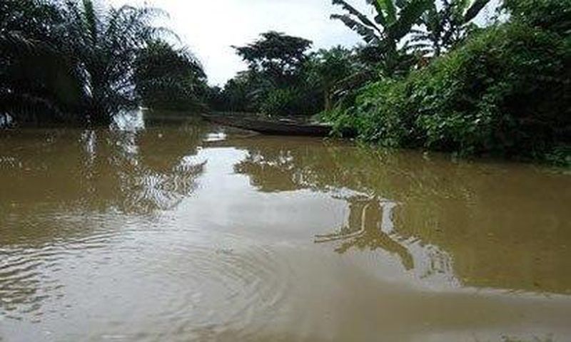 River (Illustration)