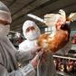 Bird Flu quarantine
