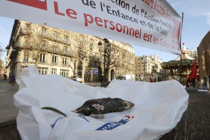 Paris rat-catchers display one of their prey at a protest outside city hall to demand more staff and payment of bonuses