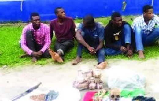 ___5712825___https:______static.pulse.com.gh___webservice___escenic___binary___5712825___2016___11___5___13___Suspected-cultists-found-with-human-skulls-Punch-News_1