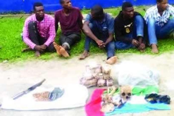 ___5712825___https:______static.pulse.com.gh___webservice___escenic___binary___5712825___2016___11___5___13___Suspected-cultists-found-with-human-skulls-Punch-News_1