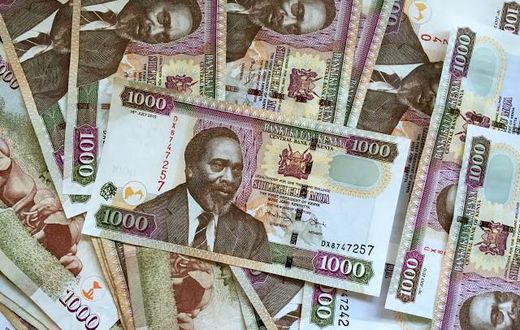 Kenyan money(footprint2africa)