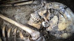 Did dietary changes bring us 'F' sounds? Study tackles complexities of language's origins