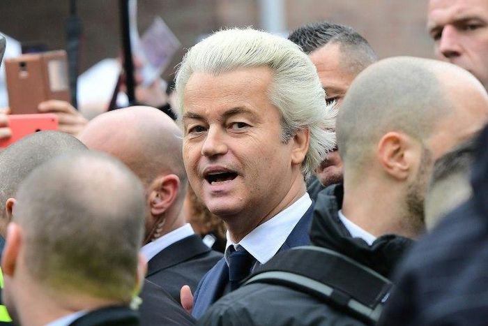 Polls show Geert Wilders' far-right Freedom Party would garner 24 to 28 seats