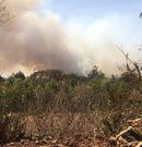 A section of Ngong Forest on fire (Twitter)