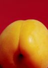 Close up of an apricot on a red background