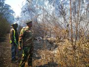 Kenya Forest Service Commandant Alex Lemarkoko helps in putting out Thogoto Forest fire (Twitter)