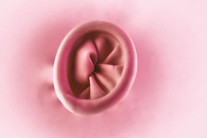 What Is Belly Button Lint, Exactly?