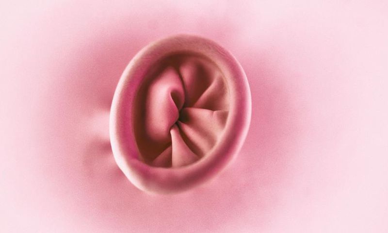 What Is Belly Button Lint, Exactly?