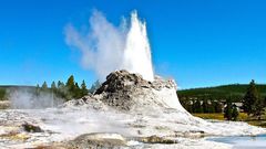 Watch Dr. Pimple Popper Take on a Pilar cyst