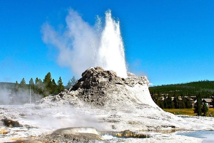 Watch Dr. Pimple Popper Take on a Pilar cyst