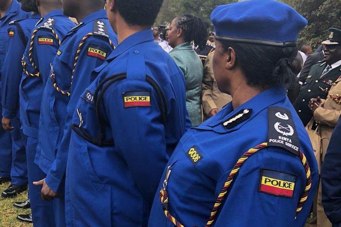 Police officers in the new Persian blue police uniform during it's unveiling (Twitter)