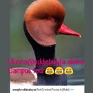 Eddie Butita’s new look draws hilarious reactions (Instagram)