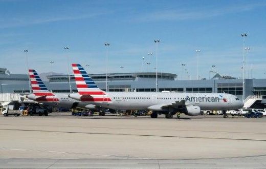 American Airlines said the flight attendant seen shouting in a viral video has been removed from duty while it investigates the incident