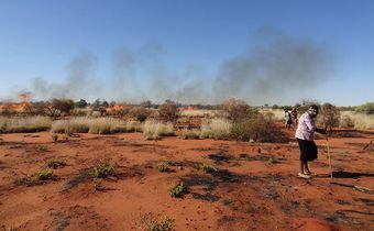 Aboriginal Hunters' Fires Help Restore an Australian Desert