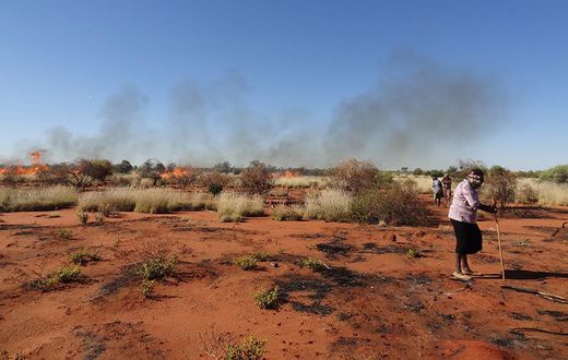 Aboriginal Hunters' Fires Help Restore an Australian Desert