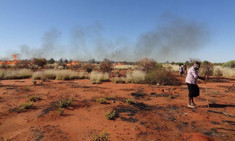 Aboriginal Hunters' Fires Help Restore an Australian Desert