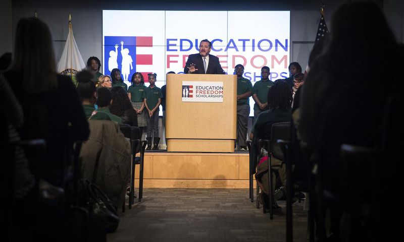 DeVos Backs $5 Billion in Tax Credits for School Choice