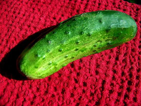 HIV rash(Friends Drift Inn)