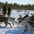 The Sopochin family has seen oil majors gradually encroach on the land in Siberia where they have herded reindeer for generations, but the latest project has made them draw the line