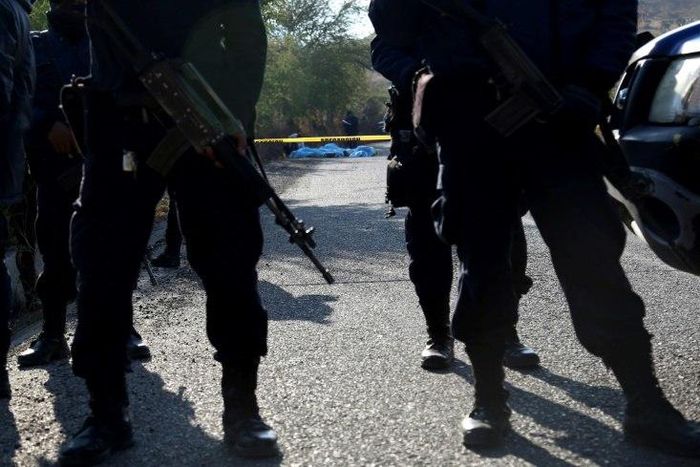Overall murders in Mexico rose for the second year in a row last year, surging from 17,034 in 2015 to 20,789 in 2016