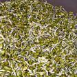 Sprouted green grams(HappieBelle)