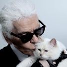 Fashion designer Karl Lagerfeld 's Cat