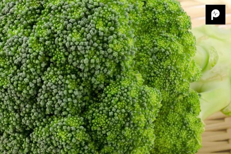 Powerful Immune System Boosters