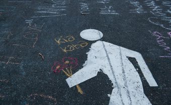 The white-extinction conspiracy theory is bonkers