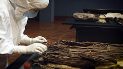 DNA Clues to an Ancient Canary Islands Voyage