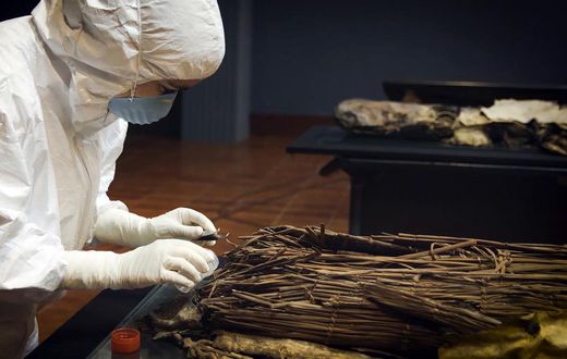 DNA Clues to an Ancient Canary Islands Voyage
