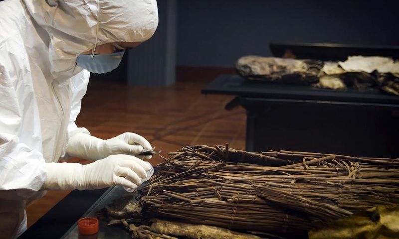 DNA Clues to an Ancient Canary Islands Voyage