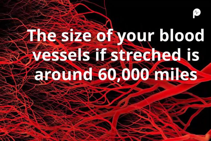 8 Weird Facts About Your Heart