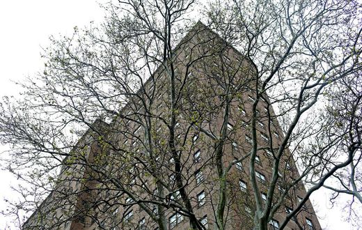 Bloody Ax Recovered at Homicide Scene in Brooklyn, Police Say