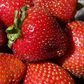 Strawberry benefits(mashable)