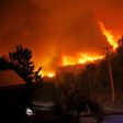 A forest fire burns out of control in Santa Olga, Chile on January 25, 2017